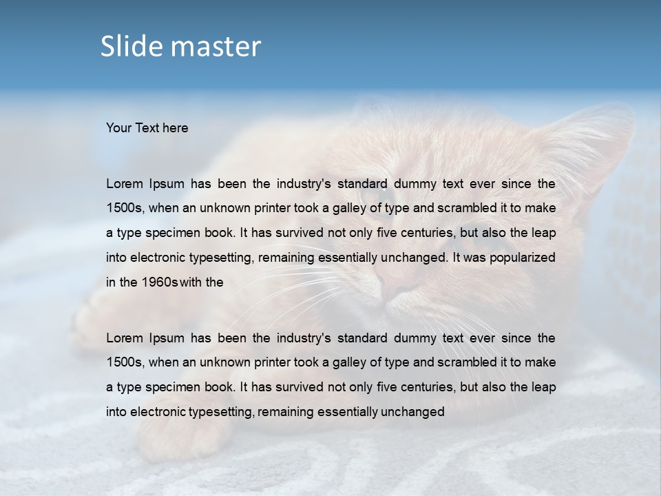 Fur Pet Blanket PowerPoint Template
