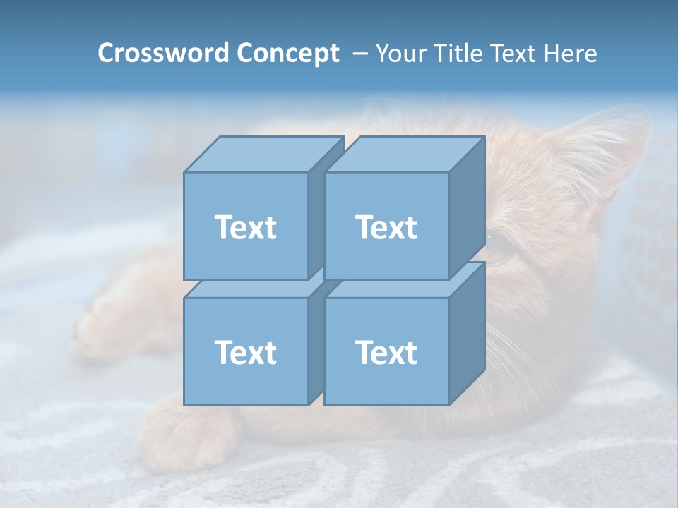 Fur Pet Blanket PowerPoint Template