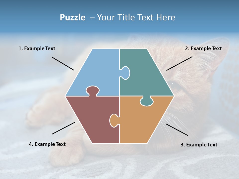 Fur Pet Blanket PowerPoint Template