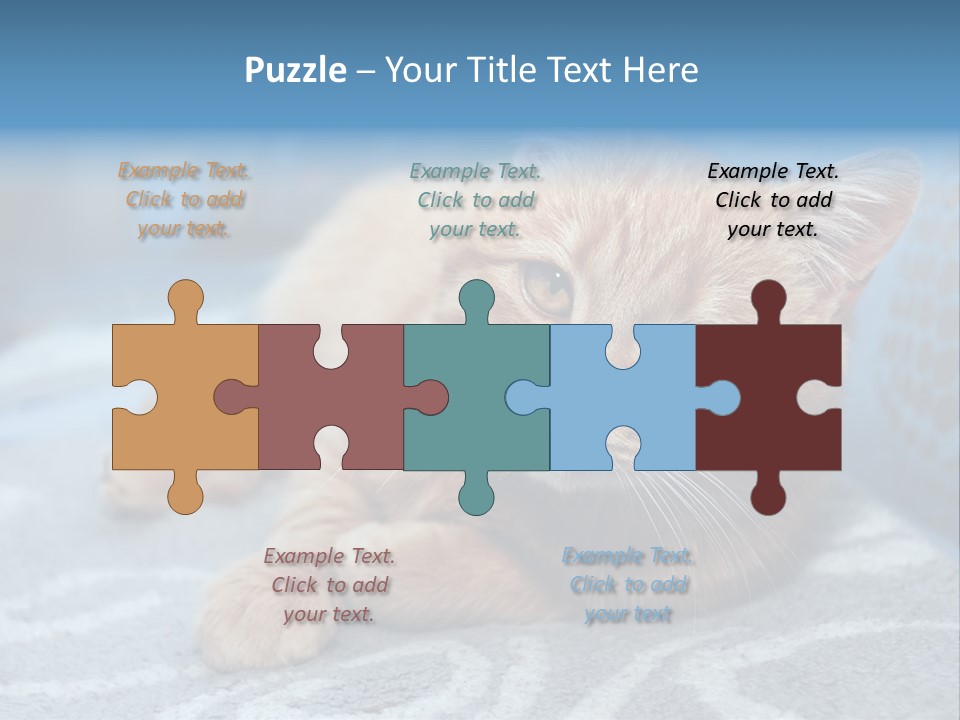 Fur Pet Blanket PowerPoint Template