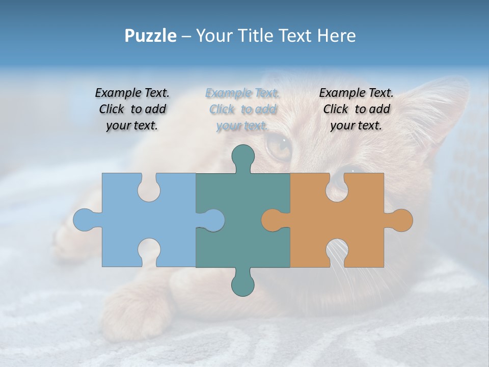 Fur Pet Blanket PowerPoint Template