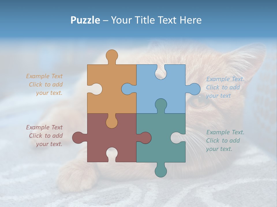 Fur Pet Blanket PowerPoint Template