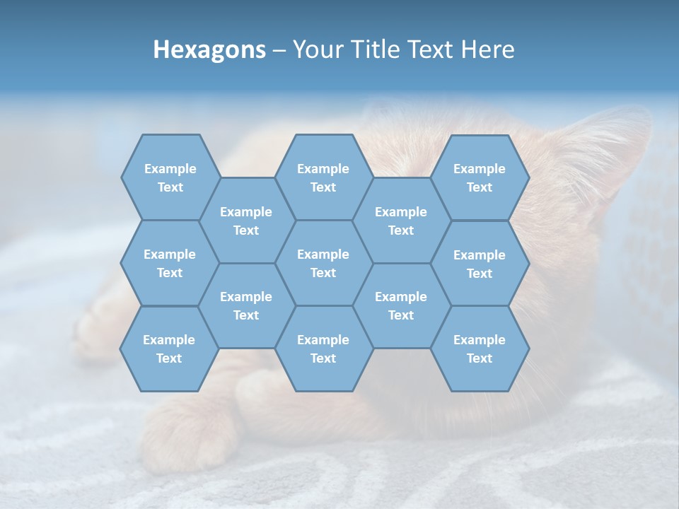 Fur Pet Blanket PowerPoint Template