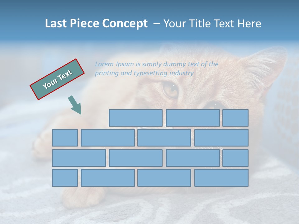 Fur Pet Blanket PowerPoint Template