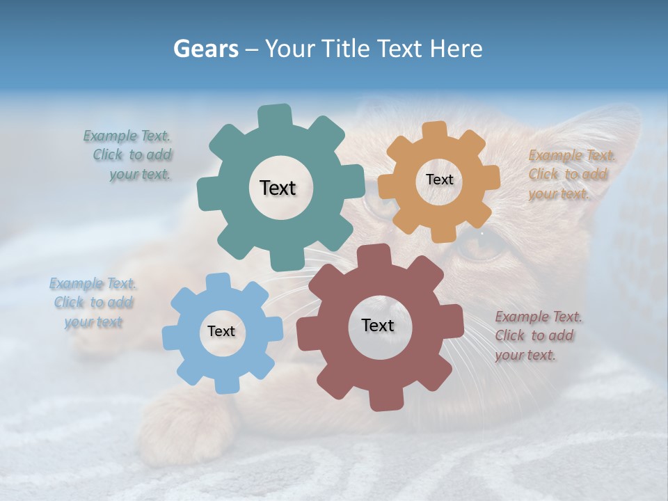 Fur Pet Blanket PowerPoint Template