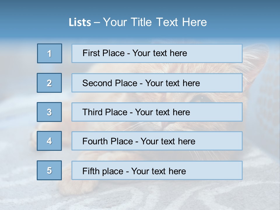 Fur Pet Blanket PowerPoint Template
