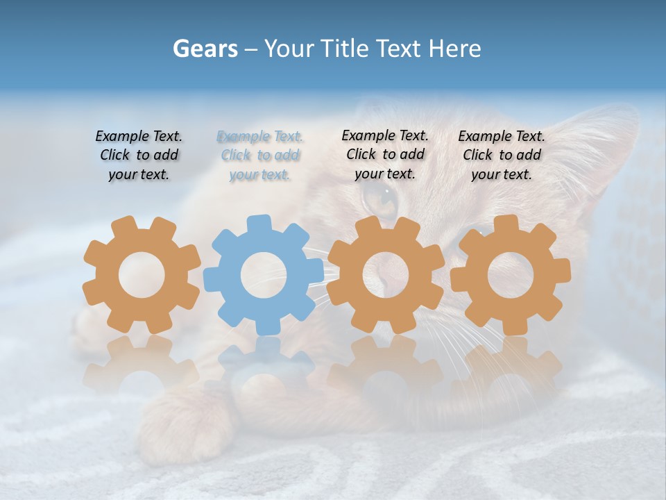 Fur Pet Blanket PowerPoint Template