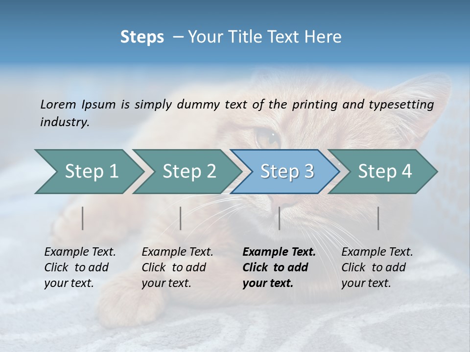Fur Pet Blanket PowerPoint Template