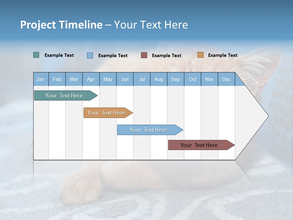 Fur Pet Blanket PowerPoint Template
