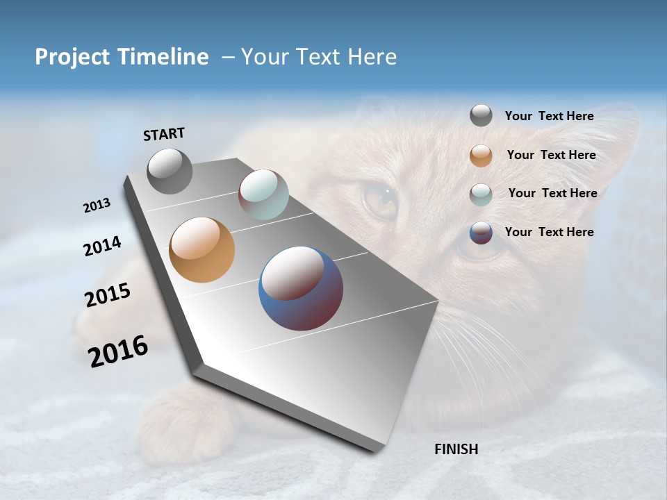 Fur Pet Blanket PowerPoint Template