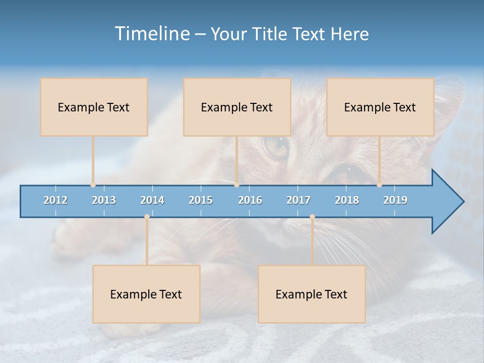 Fur Pet Blanket PowerPoint Template