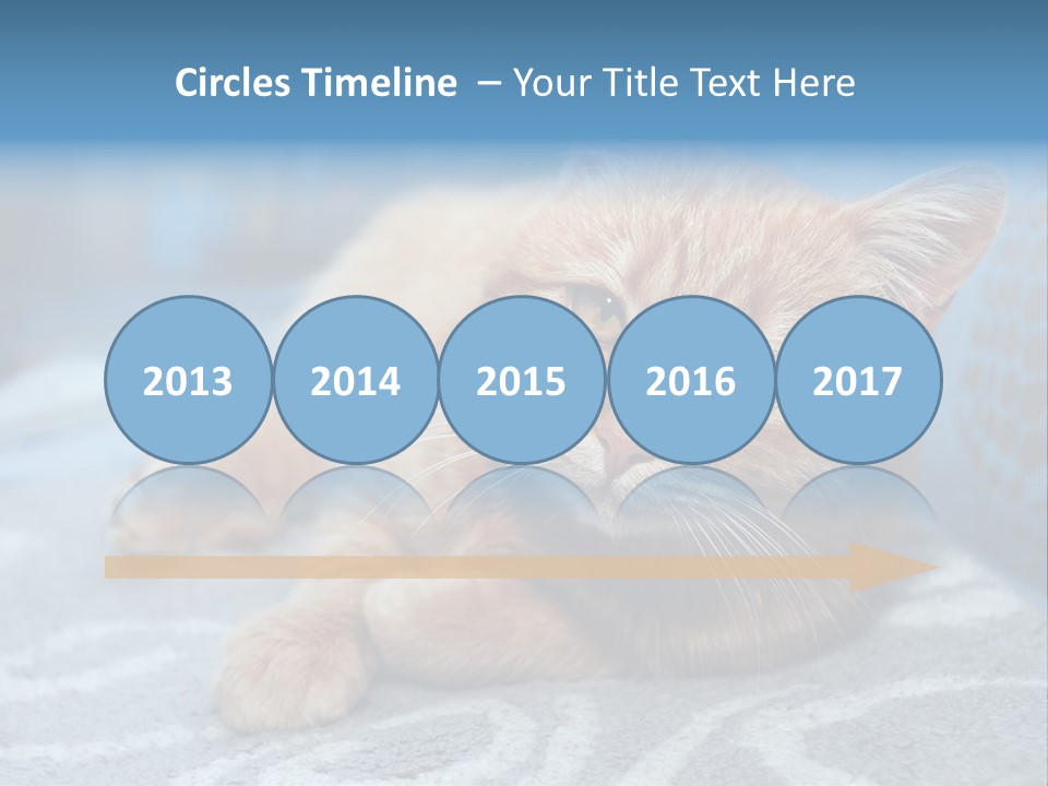 Fur Pet Blanket PowerPoint Template