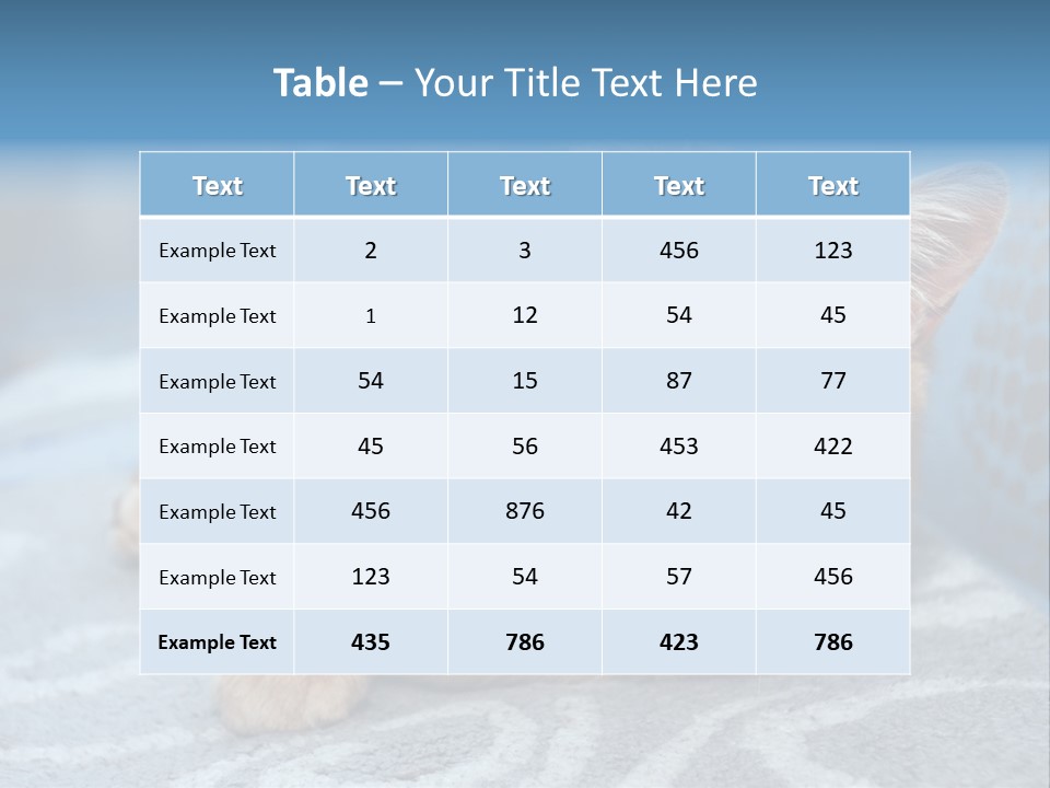 Fur Pet Blanket PowerPoint Template