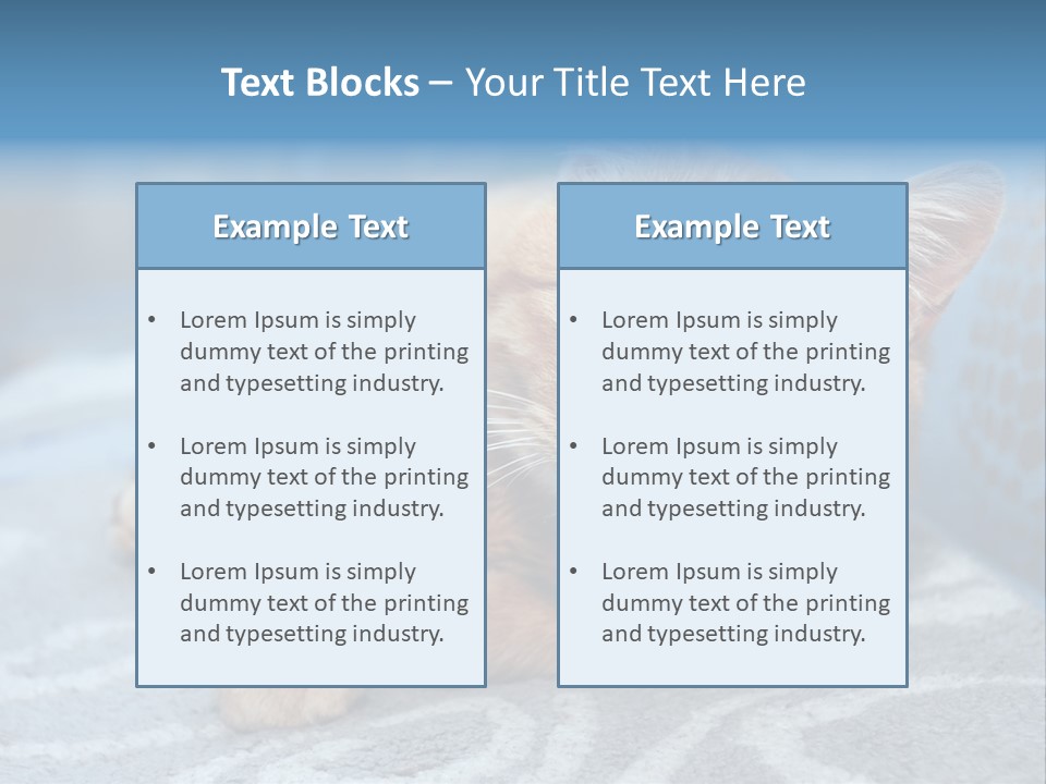 Fur Pet Blanket PowerPoint Template