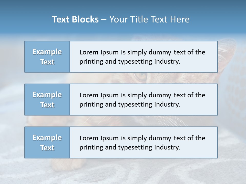 Fur Pet Blanket PowerPoint Template