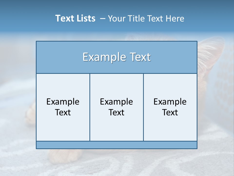 Fur Pet Blanket PowerPoint Template