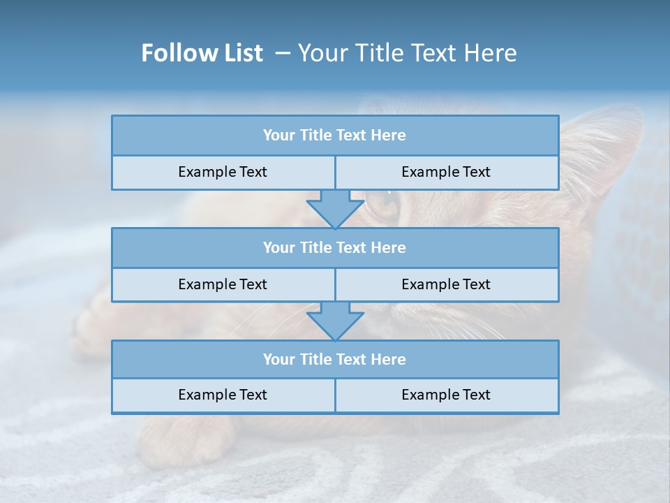 Fur Pet Blanket PowerPoint Template