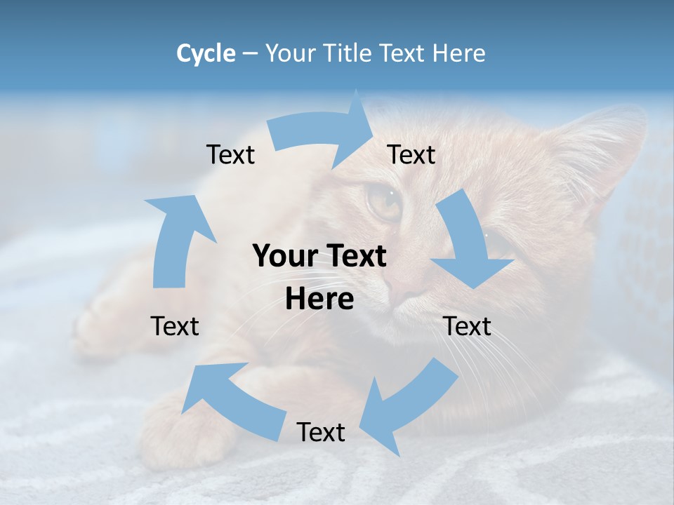 Fur Pet Blanket PowerPoint Template
