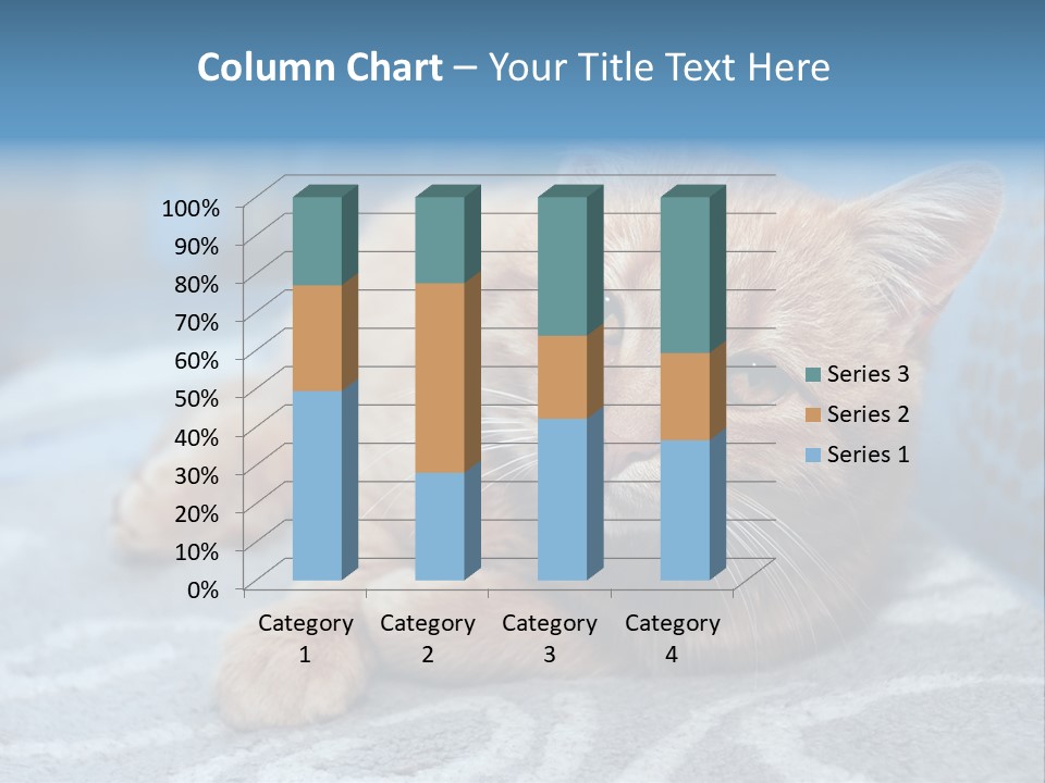 Fur Pet Blanket PowerPoint Template