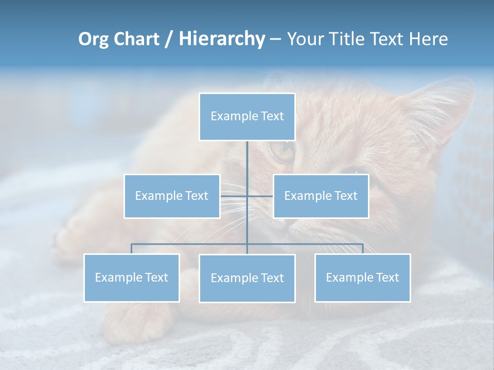 Fur Pet Blanket PowerPoint Template