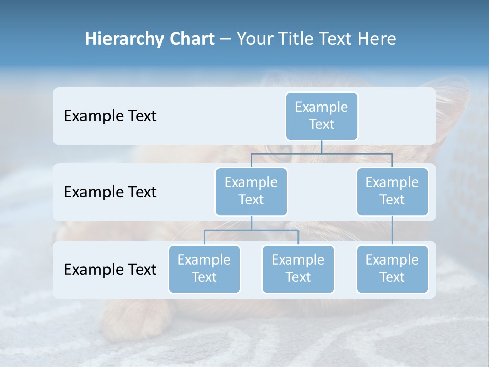 Fur Pet Blanket PowerPoint Template