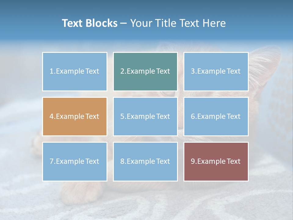 Fur Pet Blanket PowerPoint Template