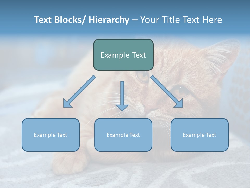 Fur Pet Blanket PowerPoint Template