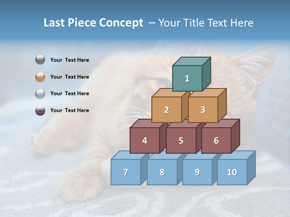 Fur Pet Blanket PowerPoint Template