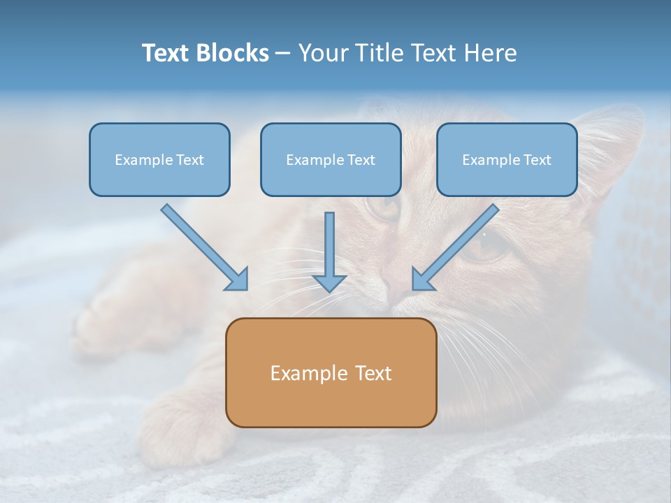 Fur Pet Blanket PowerPoint Template