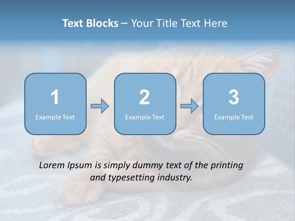 Fur Pet Blanket PowerPoint Template
