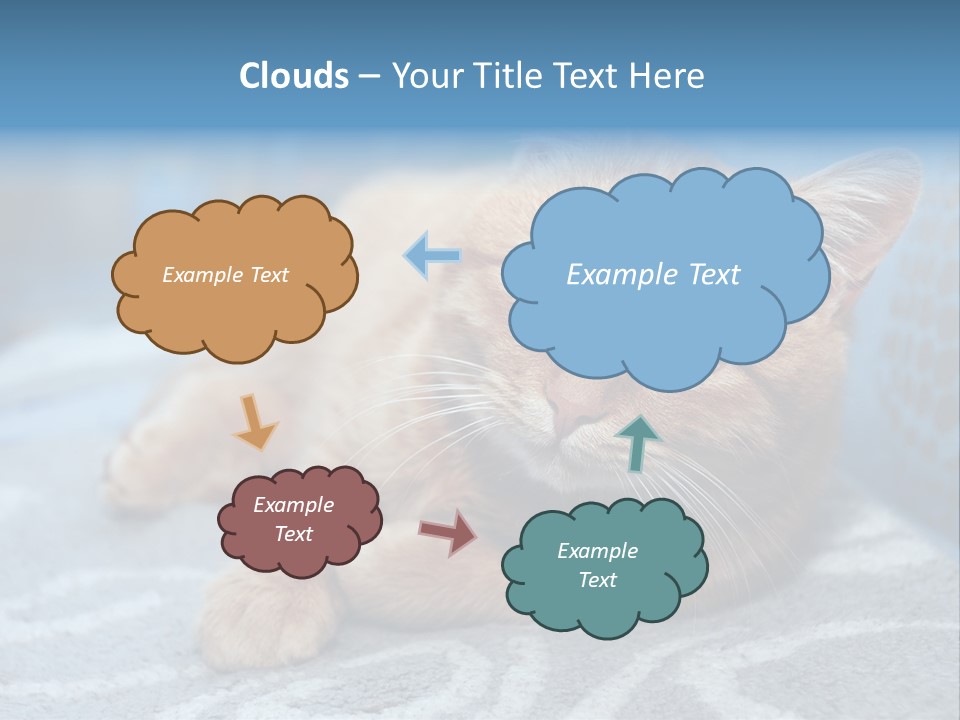 Fur Pet Blanket PowerPoint Template