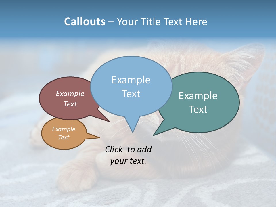 Fur Pet Blanket PowerPoint Template