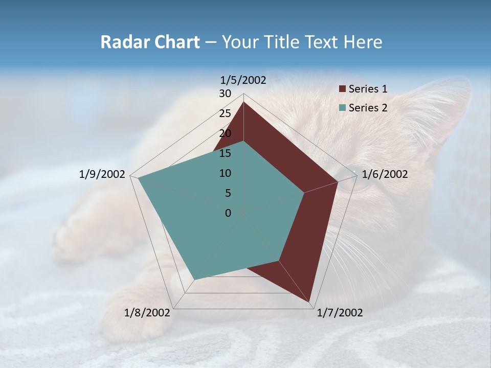 Fur Pet Blanket PowerPoint Template