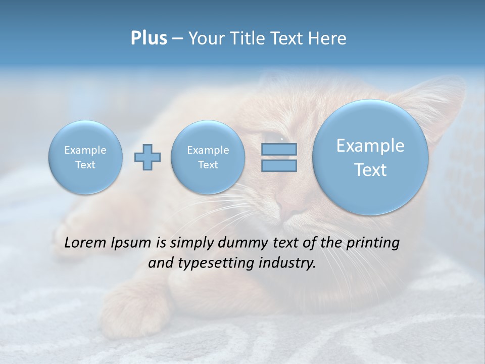 Fur Pet Blanket PowerPoint Template