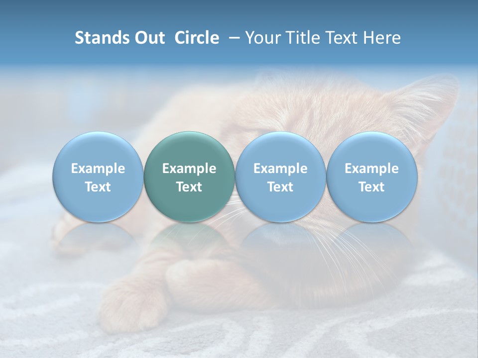 Fur Pet Blanket PowerPoint Template
