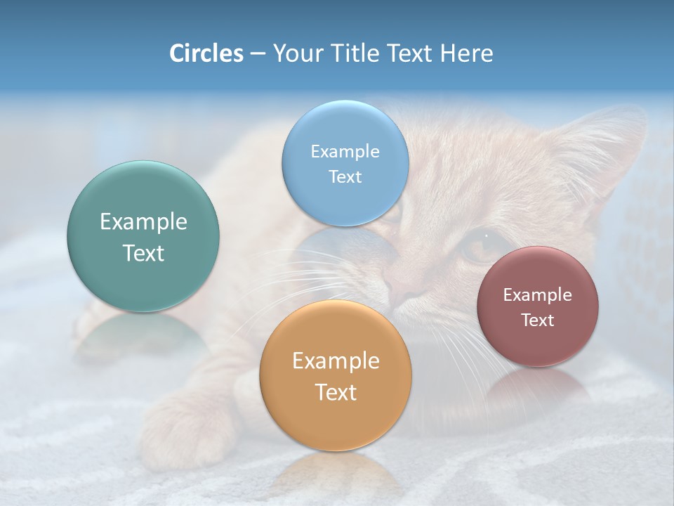 Fur Pet Blanket PowerPoint Template