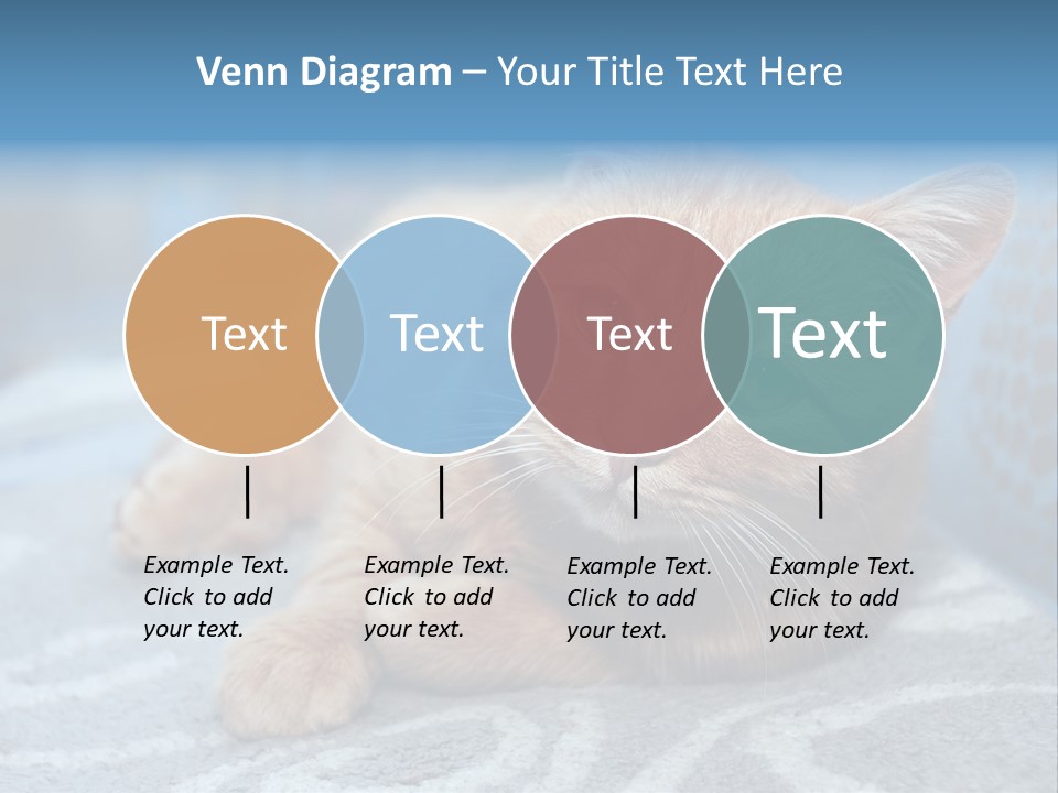 Fur Pet Blanket PowerPoint Template