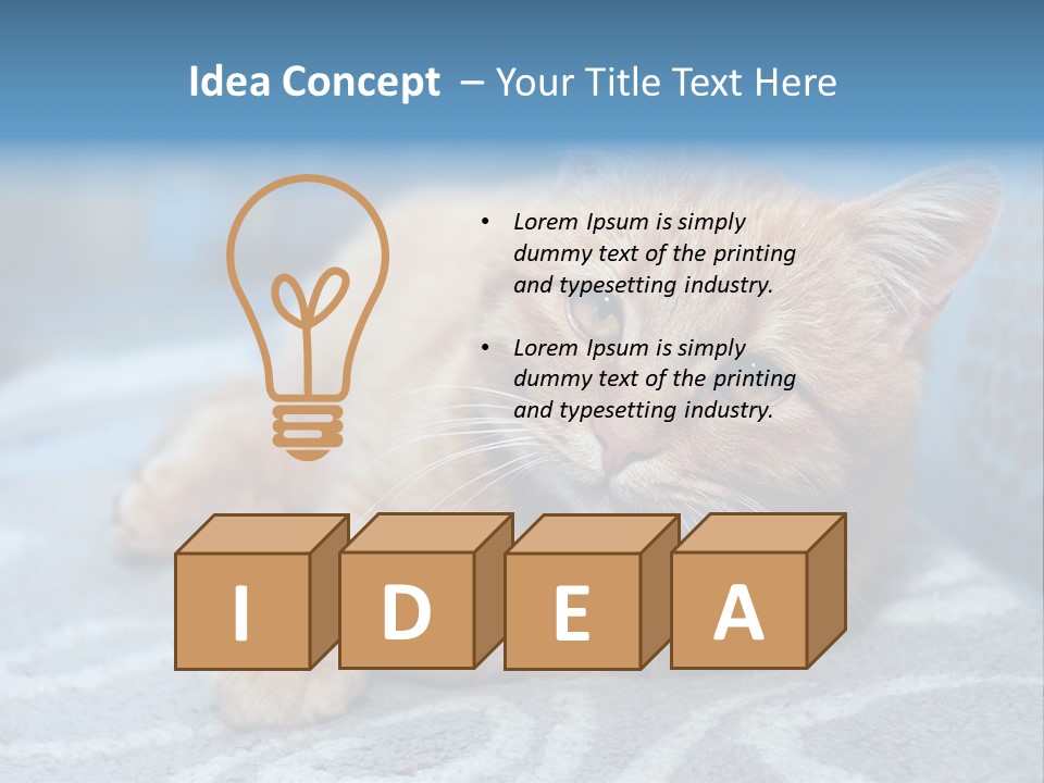 Fur Pet Blanket PowerPoint Template