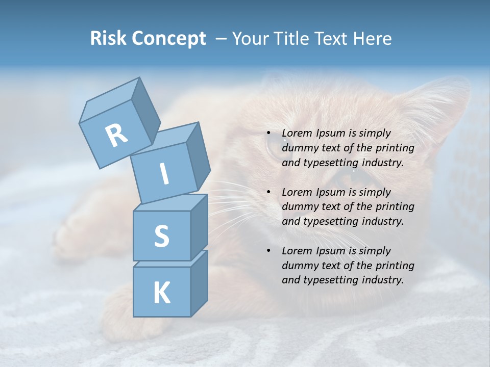 Fur Pet Blanket PowerPoint Template