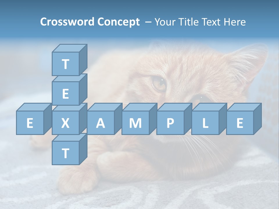 Fur Pet Blanket PowerPoint Template
