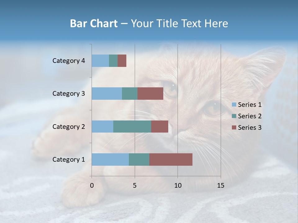 Fur Pet Blanket PowerPoint Template