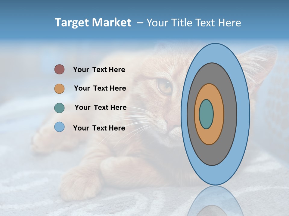 Fur Pet Blanket PowerPoint Template