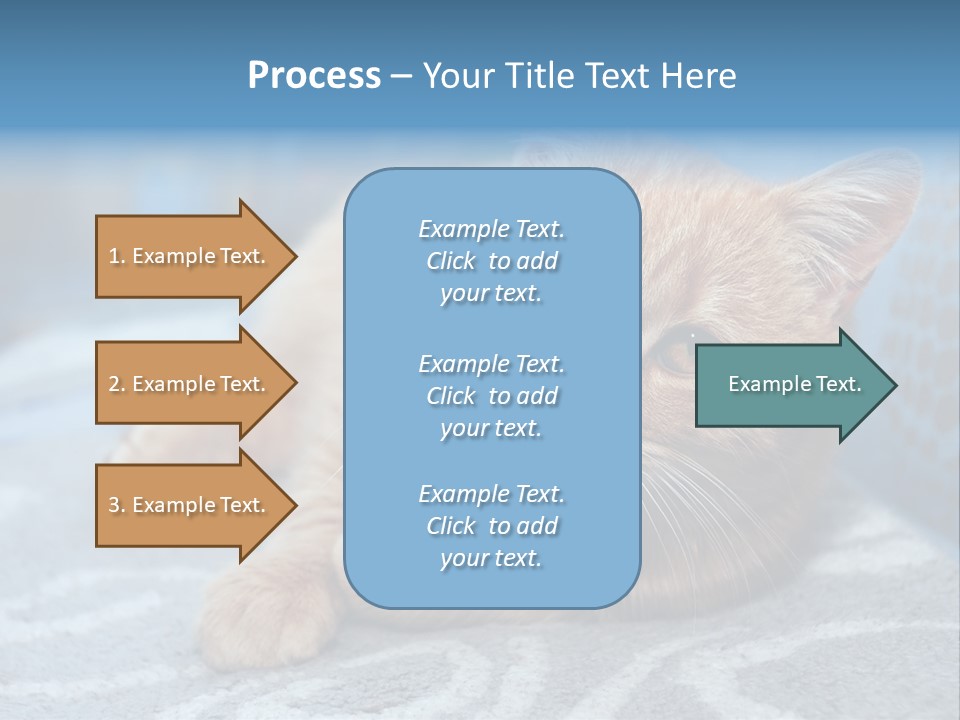 Fur Pet Blanket PowerPoint Template