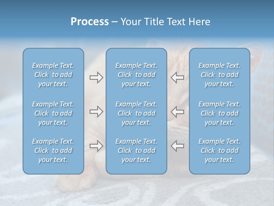 Fur Pet Blanket PowerPoint Template