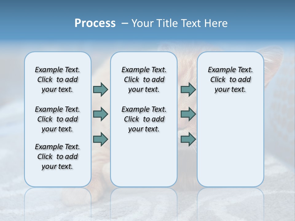 Fur Pet Blanket PowerPoint Template