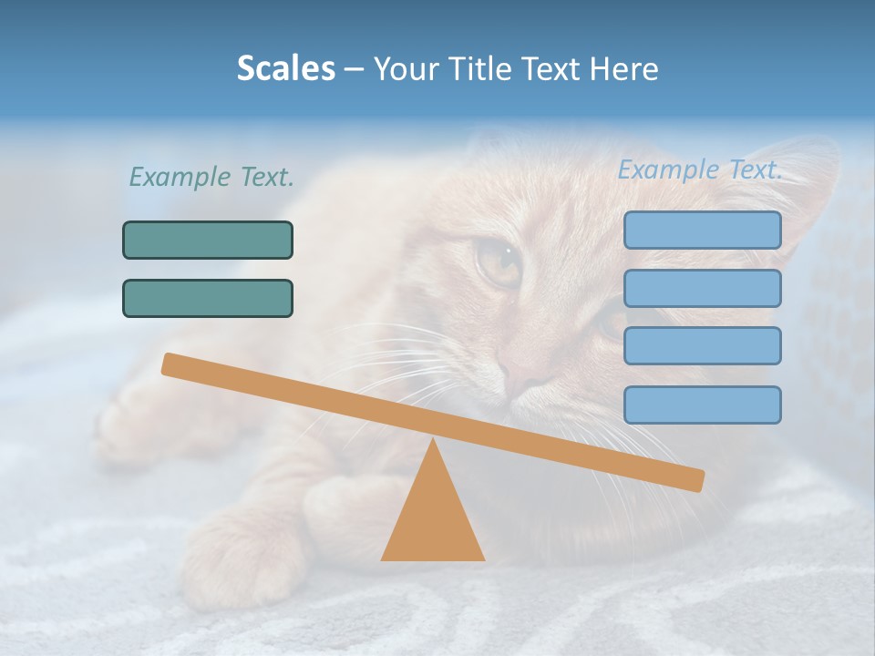 Fur Pet Blanket PowerPoint Template