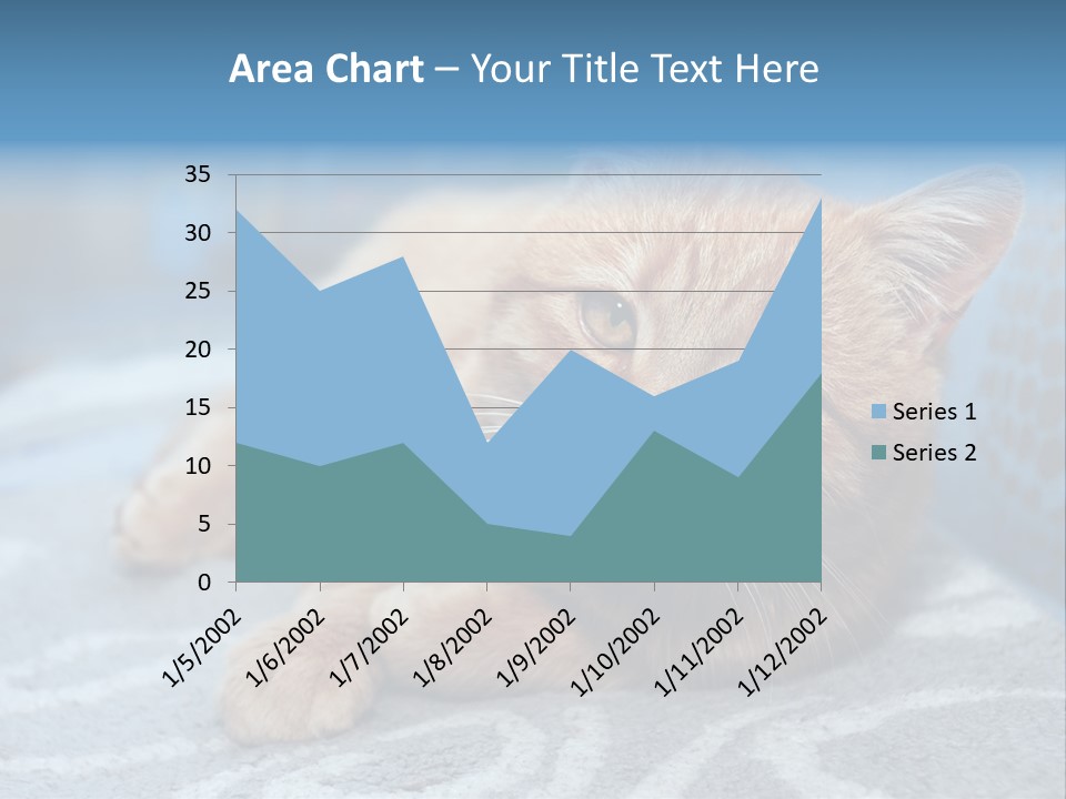 Fur Pet Blanket PowerPoint Template