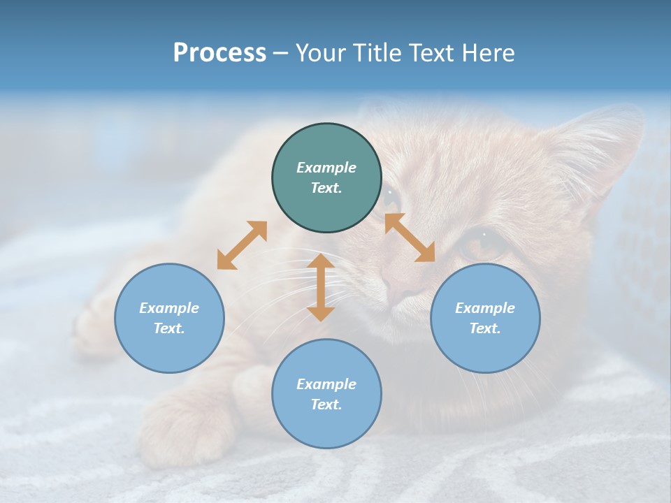 Fur Pet Blanket PowerPoint Template