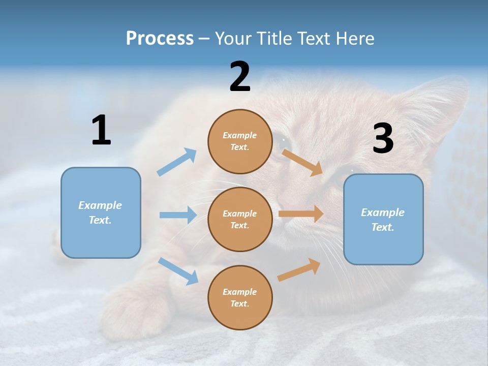 Fur Pet Blanket PowerPoint Template