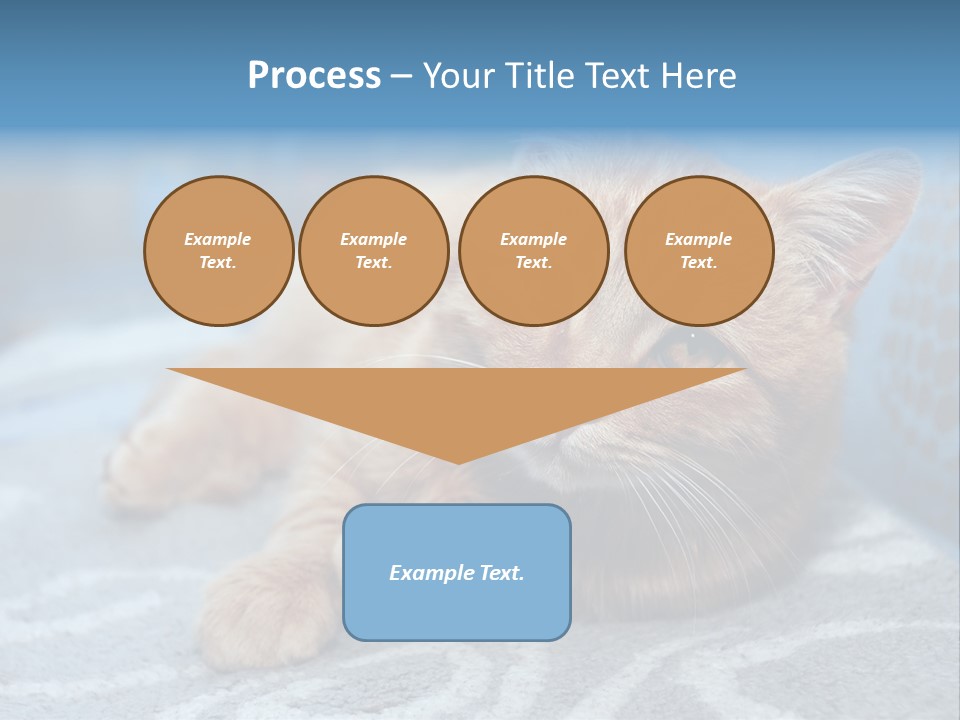 Fur Pet Blanket PowerPoint Template